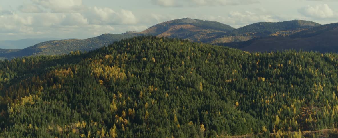 Aerial over a mountain in the fall