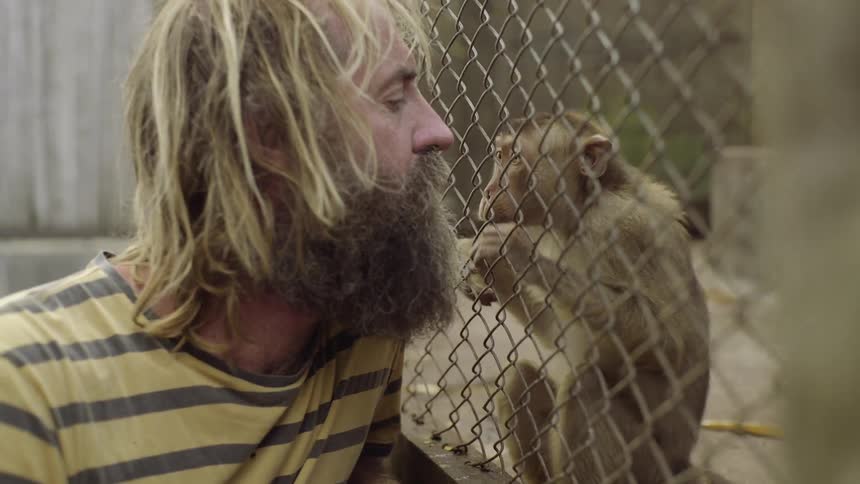A man crouches down to let a monkey pick at his beard