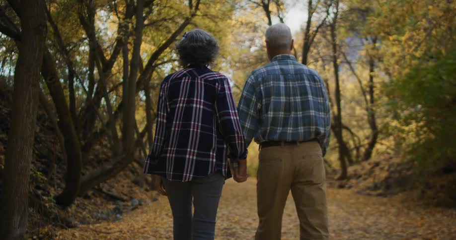 A couple walks through a forest of trees with the leaves falling off