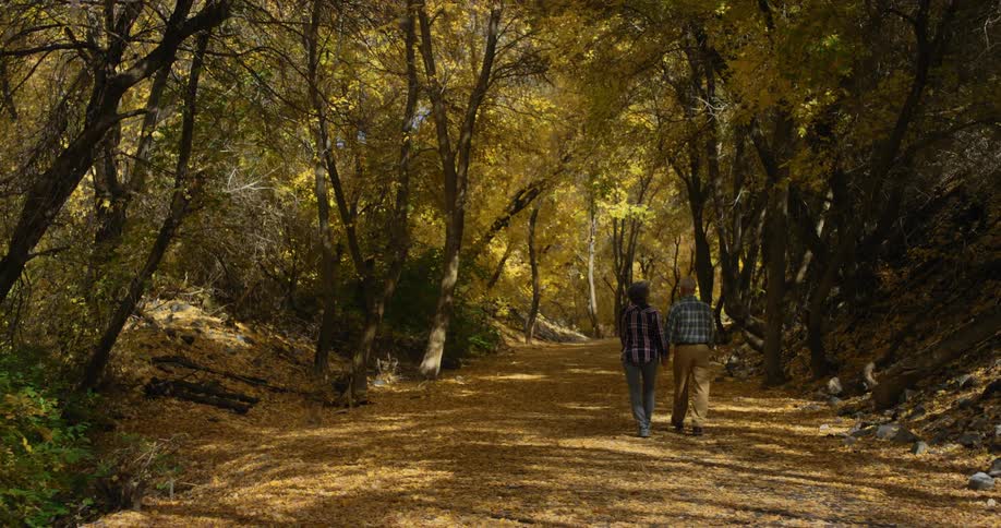 A man and woman walking outdoors
