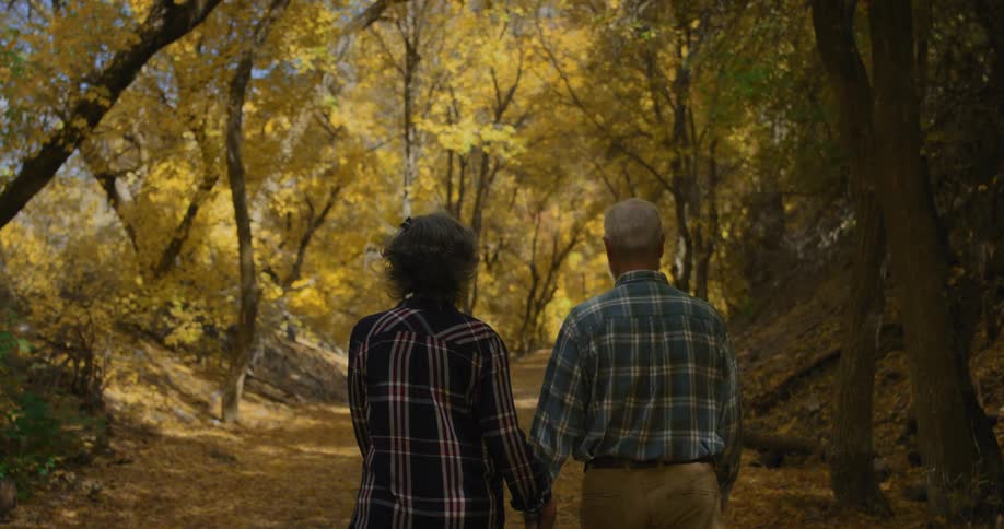 An elderly couple holds hands while walking along a pathway through a woodland on an autumn day