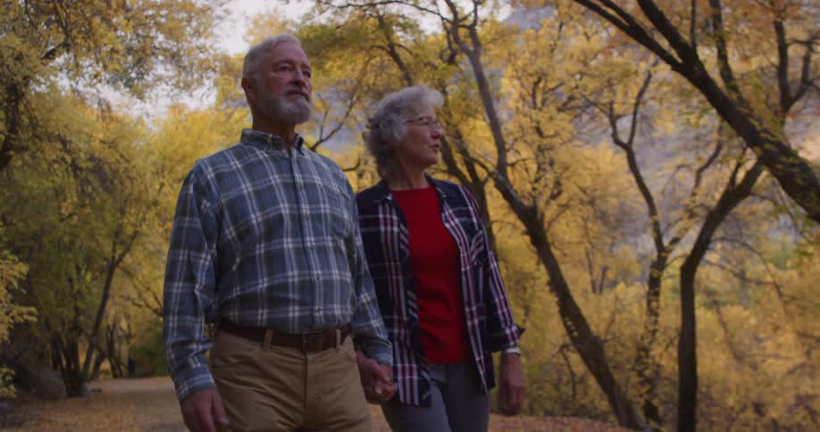 A man and woman hike and hold hands in the forest