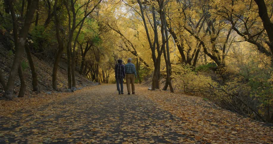 Leaves are on the ground of the path an older couple is walking on in a forest