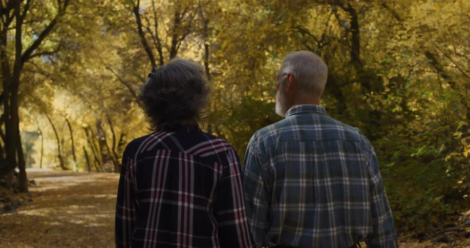 Elderly couple holding hands walk on a path through the trees on a park at morning