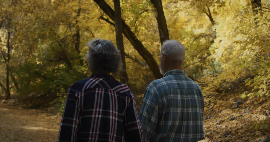 Elderly man and woman with tartan shirts hold hands walking in the autumn forest