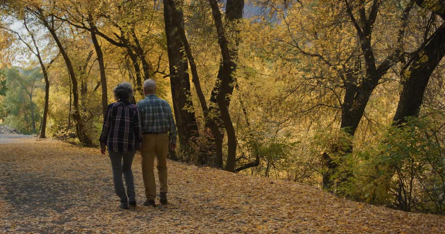 A man and woman hold hands while walking down a paved road in the woods