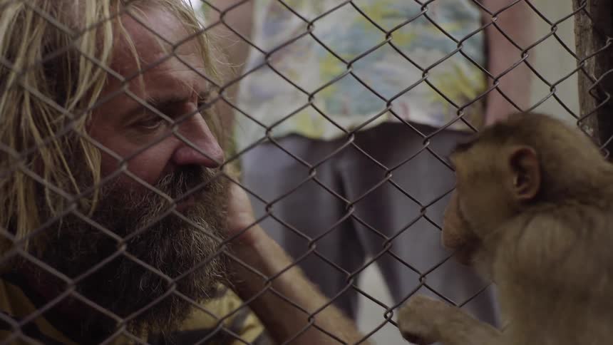A monkey reaches through a fence and touches a man's arm