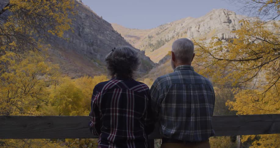 Elderly couple standing on a bridge on a park looking at the nature
