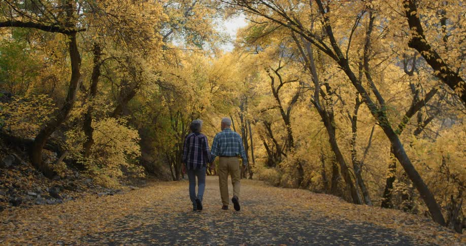 A man and woman walking hand in hand on a yellow leaf covered path