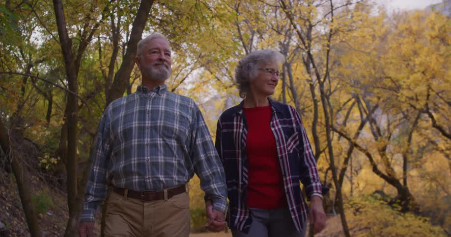 Elderly couple holding hands walk on a path through the trees on a park at morning