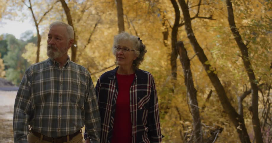 A man points in the distance as he talks to a woman on their walk through the woods