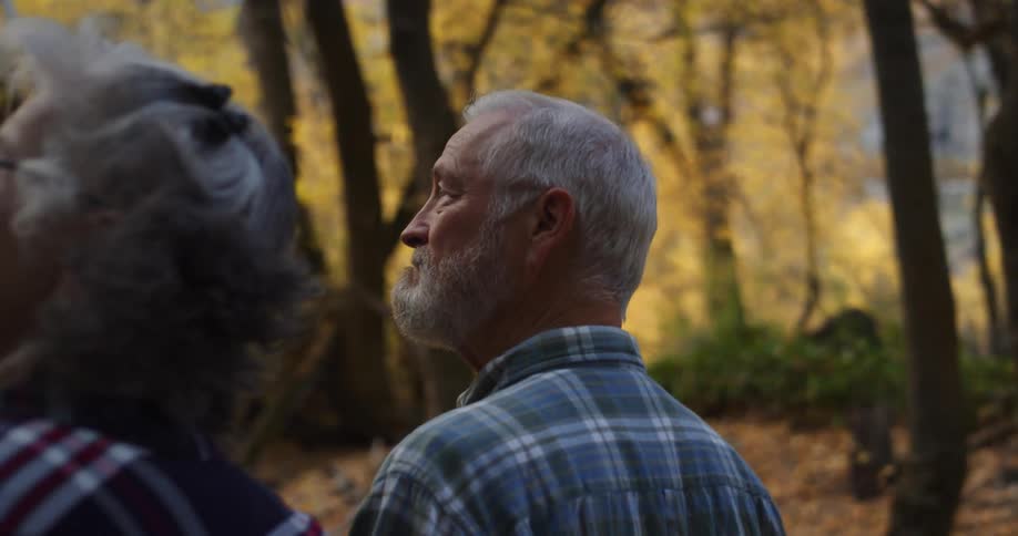 An elderly couple are walking in a forest of trees with leaves in bright fall colors