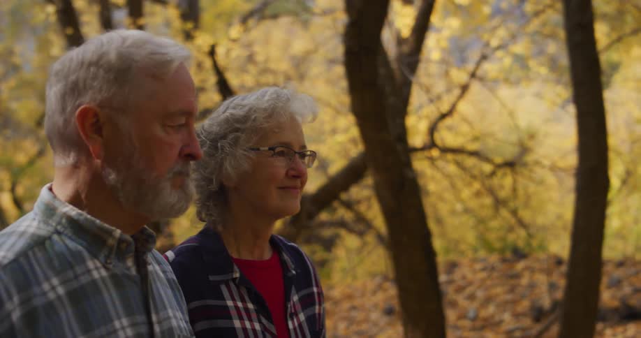 An elderly couple walk together through a woodland on an autumn day