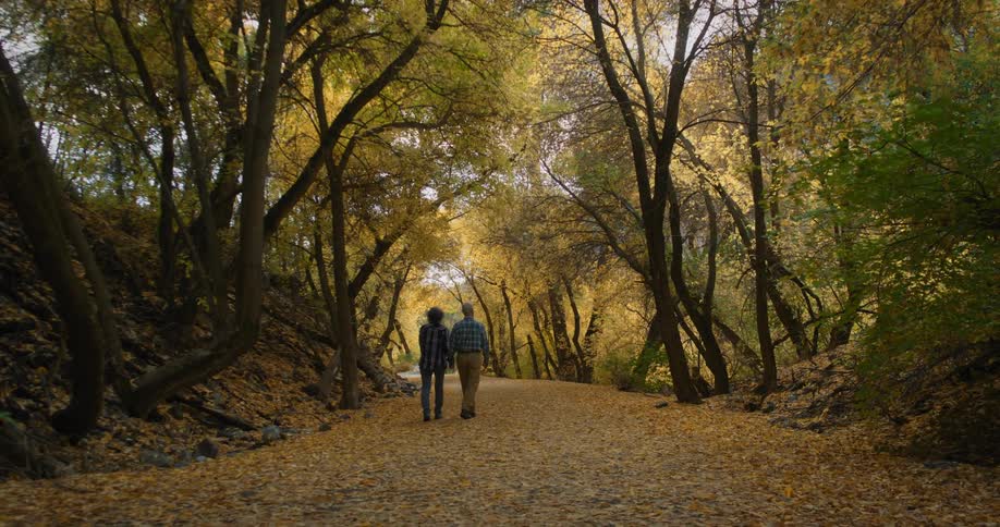 Elderly man and woman hold hands walk on road with brown leaves in the autumn forest