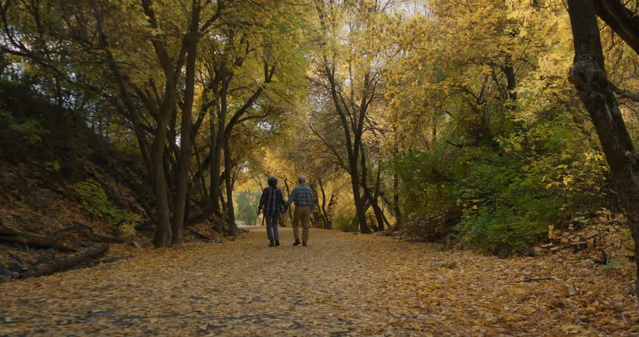 An elderly man and woman hold hands as they walk through a forest area covered in fall leaves