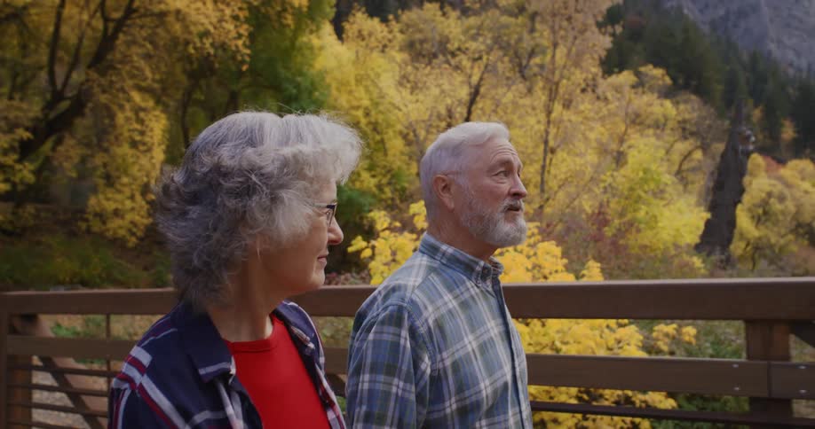 Elderly couple walking together over a bridge on a forest near the mountains