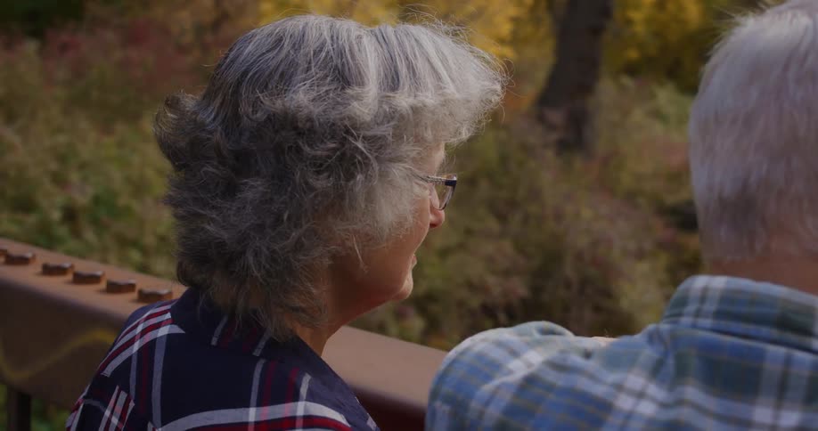Elderly man and woman with tartan shirt look down from forest bridge