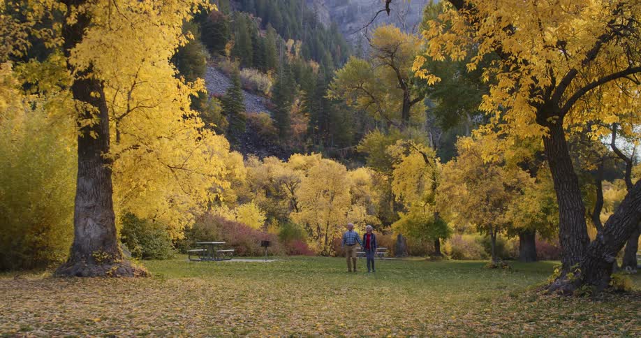 Elderly couple leisurely walking through the trees on a natural park in the mountains