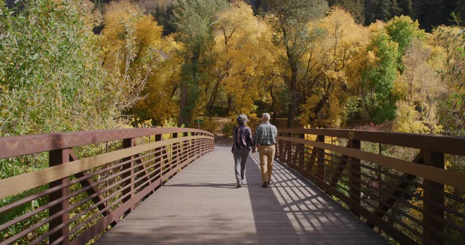 A couple is walking across a large bridge in a forest