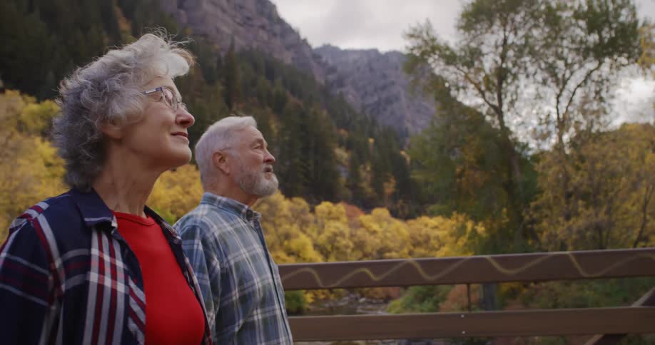 Elderly couple walking together over a bridge on a forest near the mountains