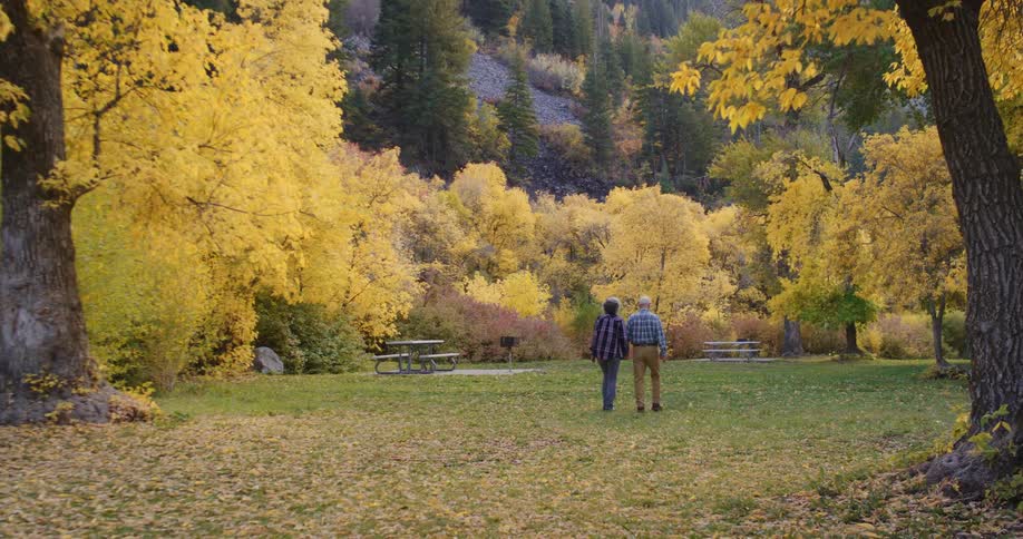 Two people walking outdoors in a forest