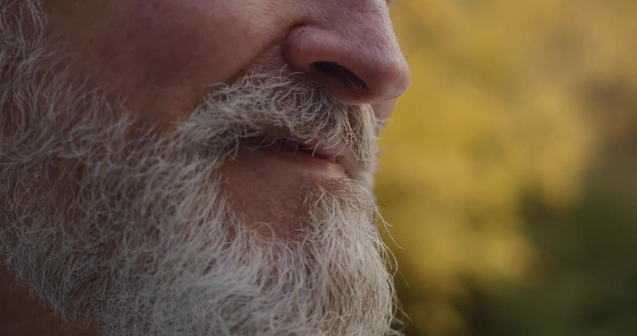 A man with a beard is smiling