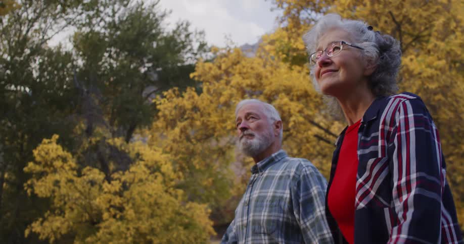 An elderly man and woman hold hands as they walk through a forest