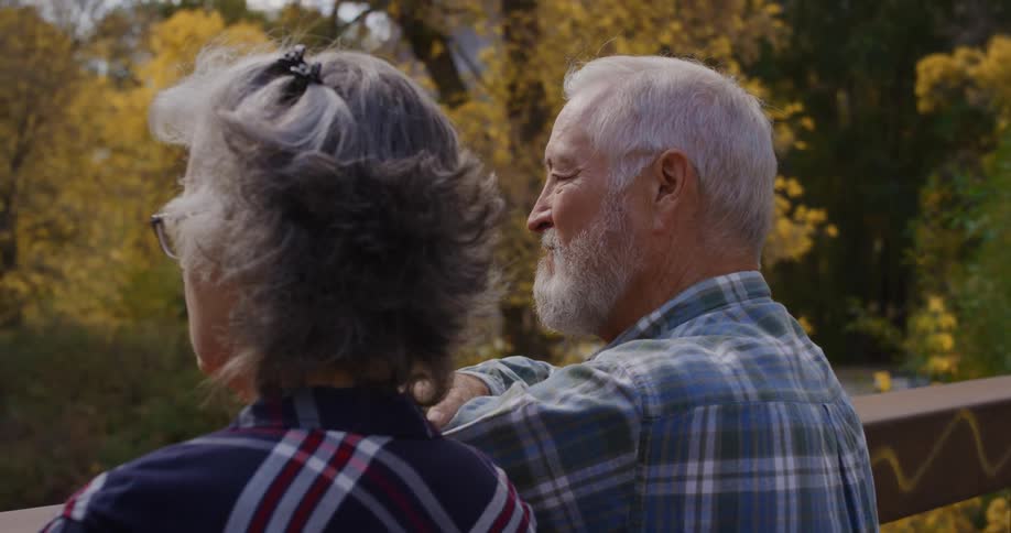 An elderly couple are standing on a footbridge in a forest and looking at the scenery