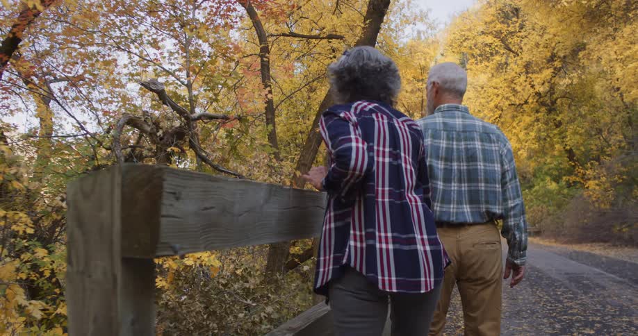 Elderly couple walking together near a wooden railing on a forest near the mountains