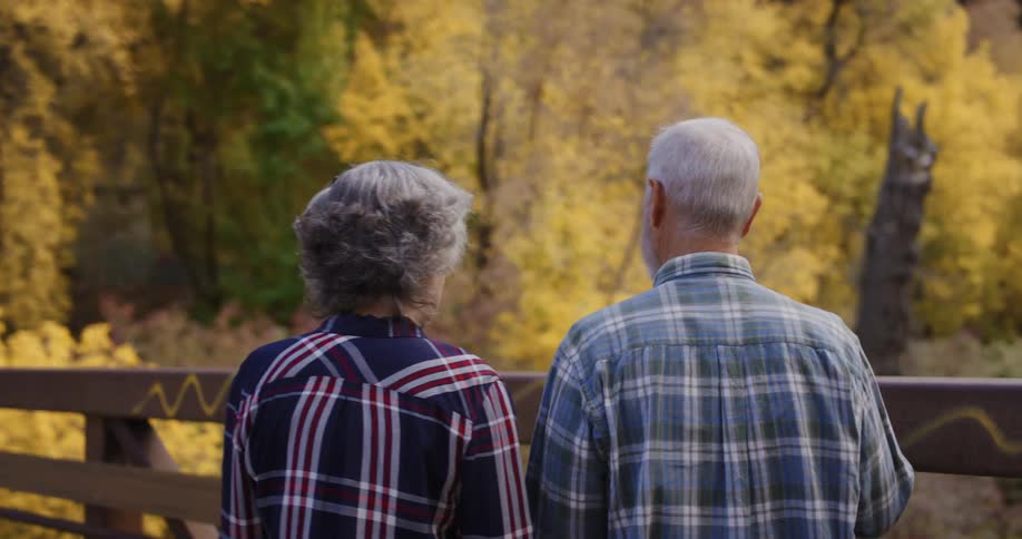 Elderly couple walking together over a bridge on a forest near the mountains