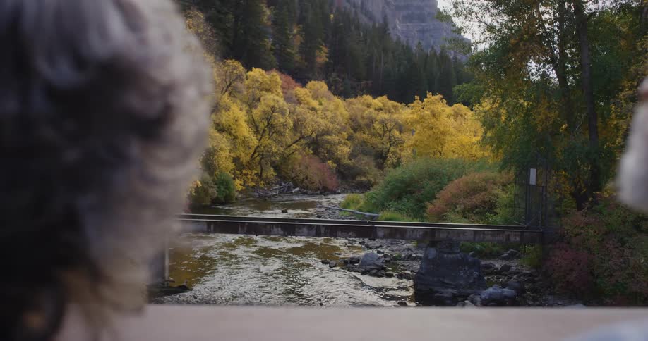 Elderly man with beard and tartan shirt and woman with tartan shirt look down from on river from the autumn forest bridge