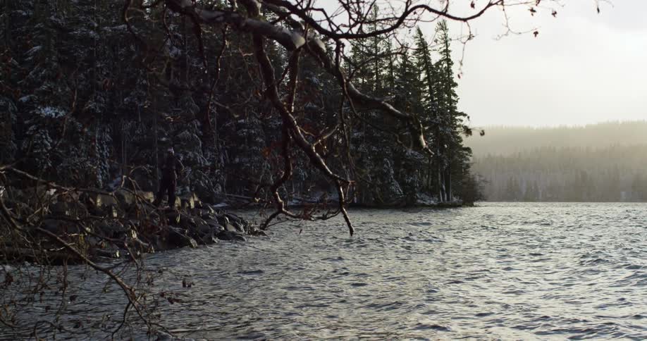 Waves crash against a rocky shore near a forest