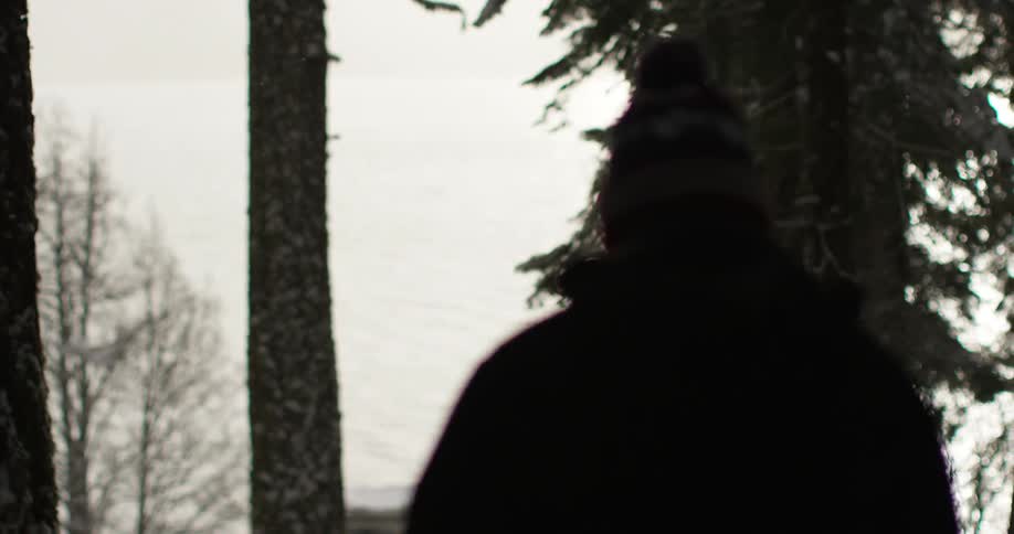 A person is walking towards the water on a cloudy day