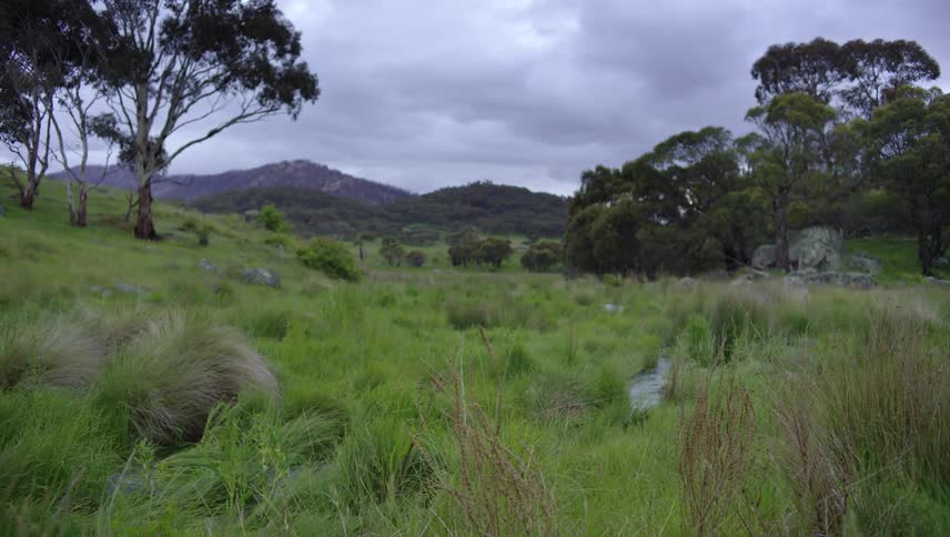 View of grassland with hills and trees on cloudy day