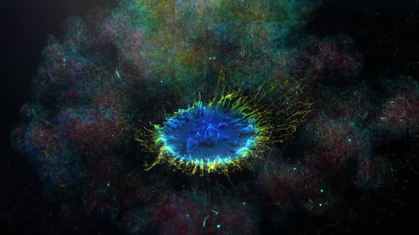 Abstract footage of liquid dye exploding in to the air