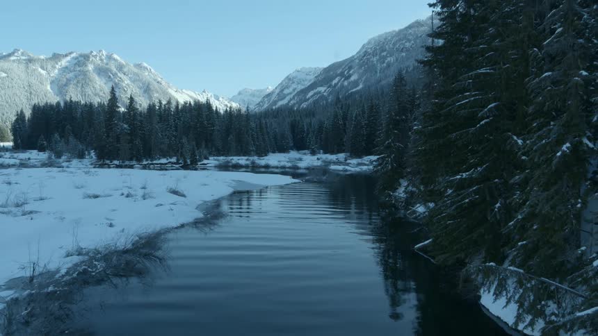 A river flows gently past a forest of evergreen trees located below snow covered mountains