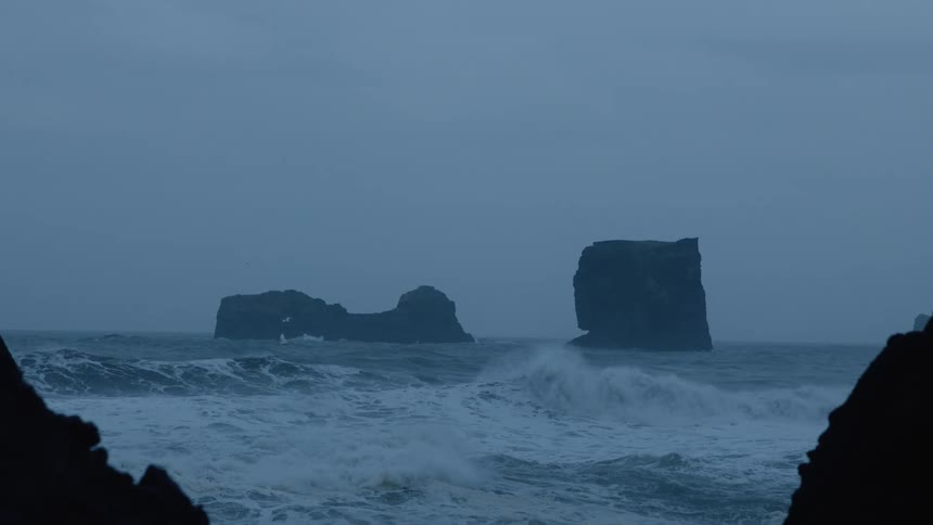 Seabird flies over large foaming waves on misty day