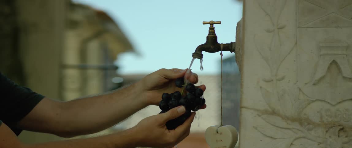 A person is washing grapes