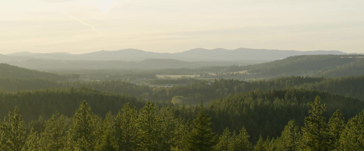 Aerial over a forest at sunrise