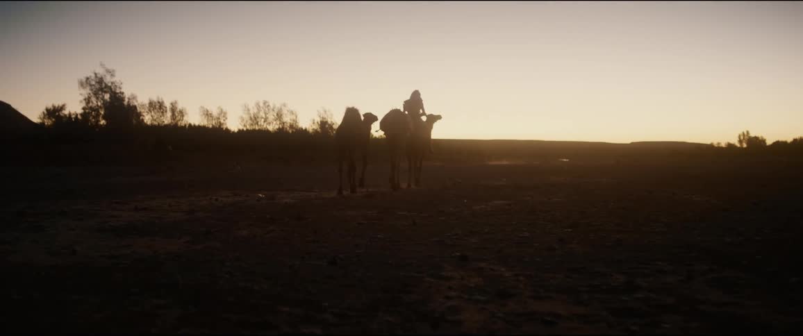 A view of a person riding a camel