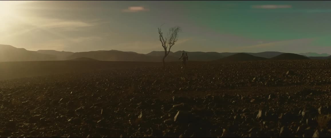 Person walks across rock strewn plain passing lone tree with mountains on the horizon