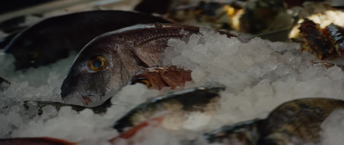 A person arranging fish in a market