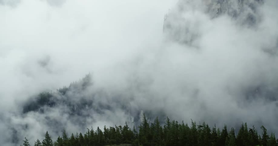 Heavy smoke rises from a forest and fills the sky
