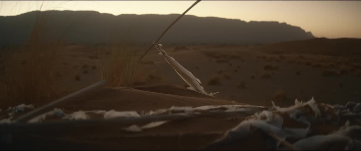 Pieces of cloth scattered in a desert
