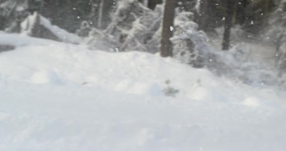 A truck drives in the snow