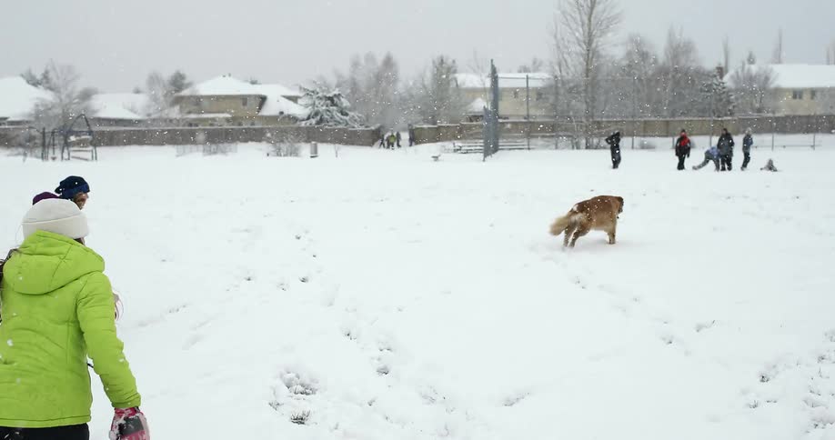 Children are playing in the snow with a dog