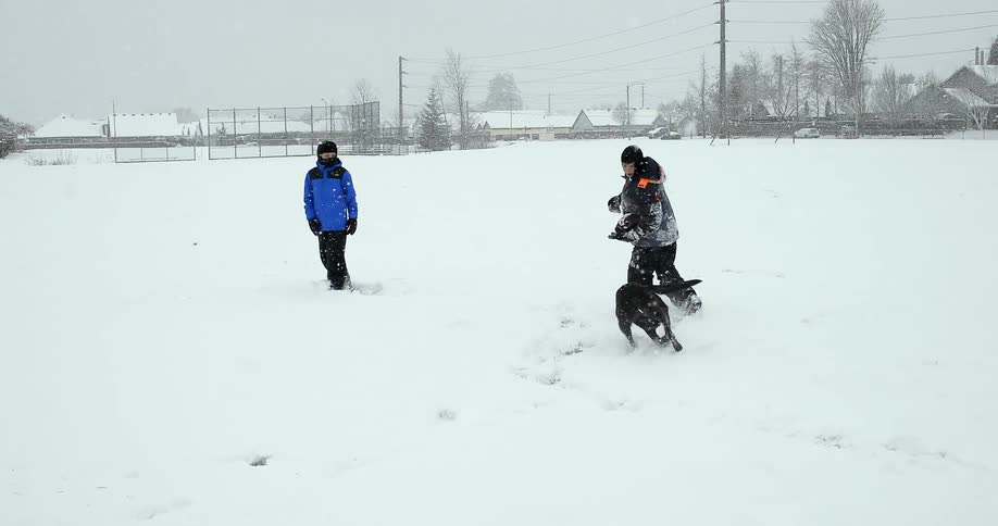 A dog is playing chasing a kid with a football