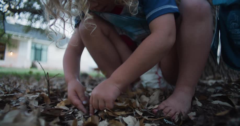 A child digs through leaves in the yard