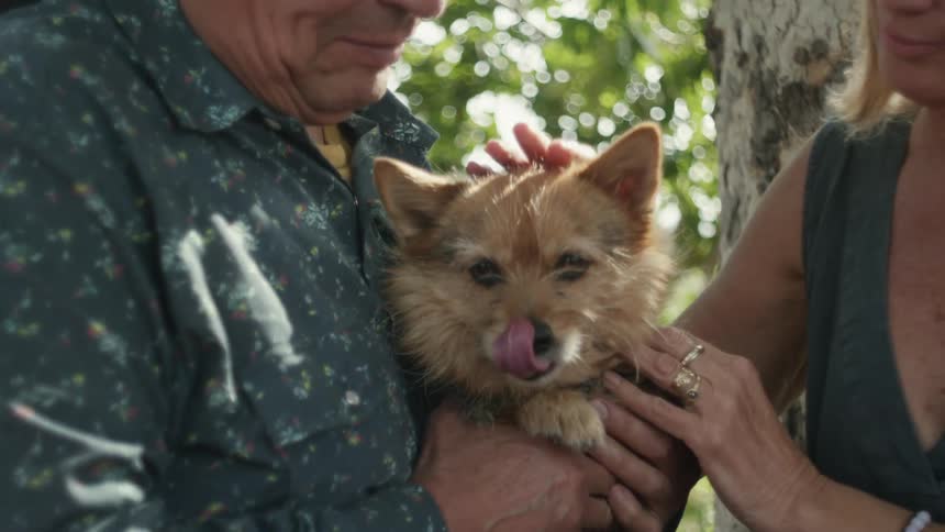 Man and woman are standing outdoors and holding their dog