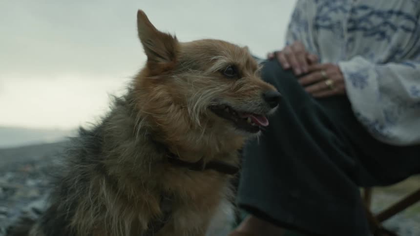 A dog sits on a beach with a man and woman and the man reaches out to pet the dog